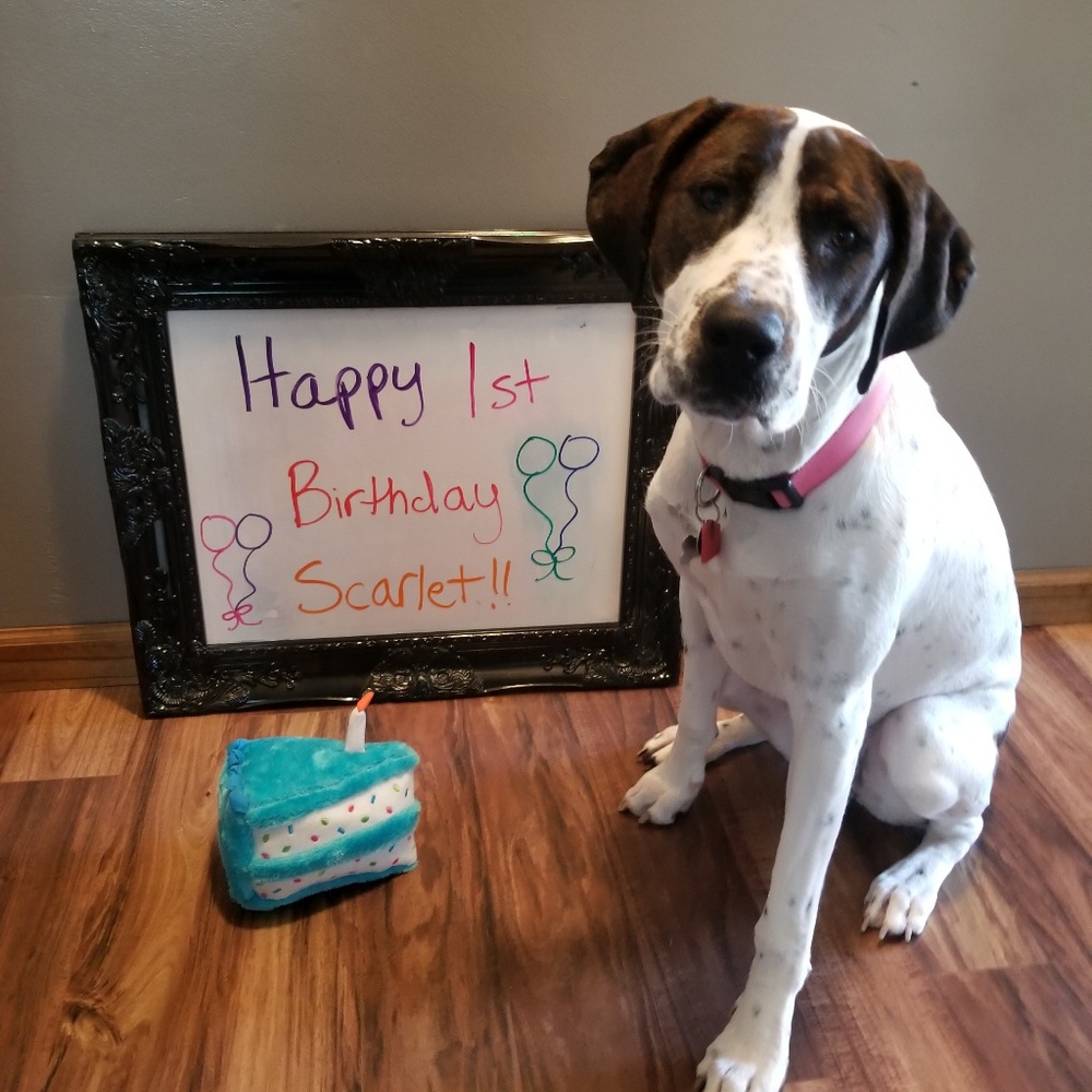 Meet your Posher, Kati